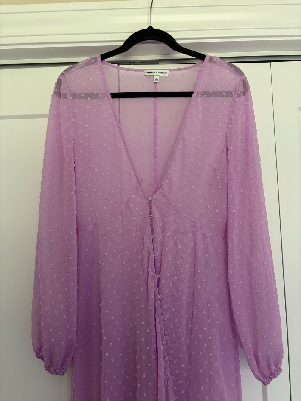 Express Lavender Swiss Dot V-Neck Tie-Front Transparent Women's Dress